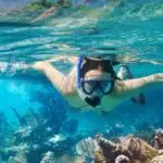 Promotion camping Corse Snorkeling en Corse, explorant les coraux et les poissons colorés dans une eau turquoise