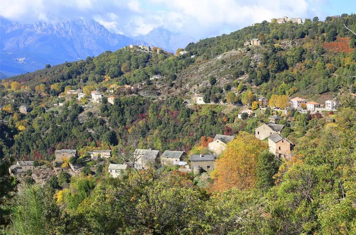 quels-criteres-prendre-en-compte-dans-la-comparaison-des-prix