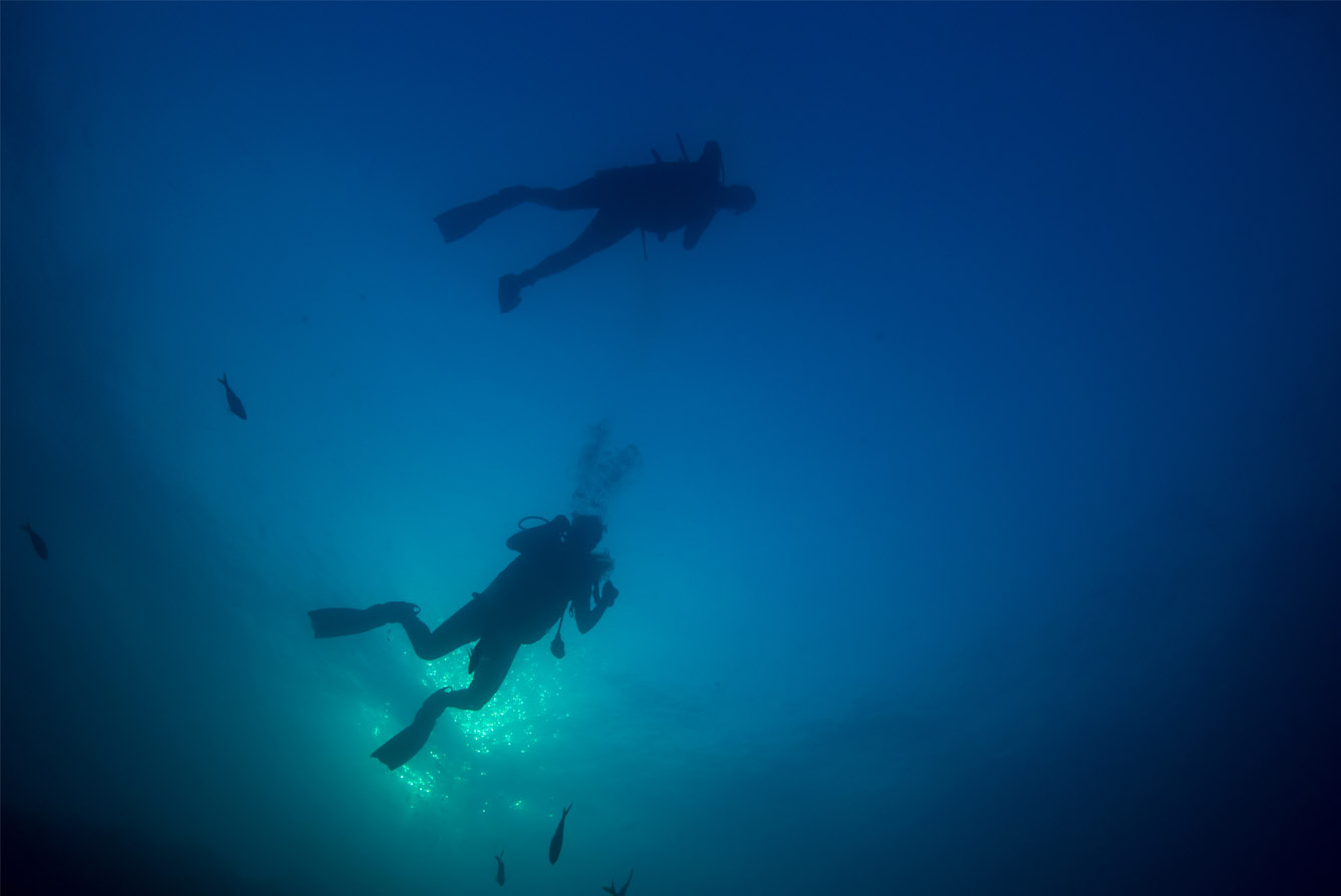 Meilleurs spots de plongée et plus beaux fonds marins en Corse